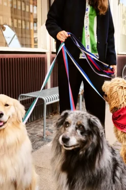 HAY HAY Dogs scarf, 55 x 55 cm, red