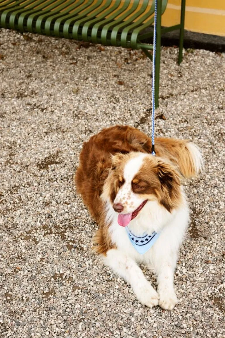 HAY HAY Dogs scarf, 55 x 55 cm, light blue