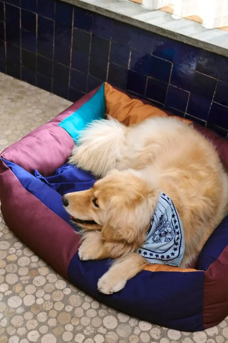 HAY HAY Dogs scarf, 55 x 55 cm, light blue