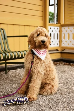 HAY HAY Dogs scarf, 55 x 55 cm, off-white