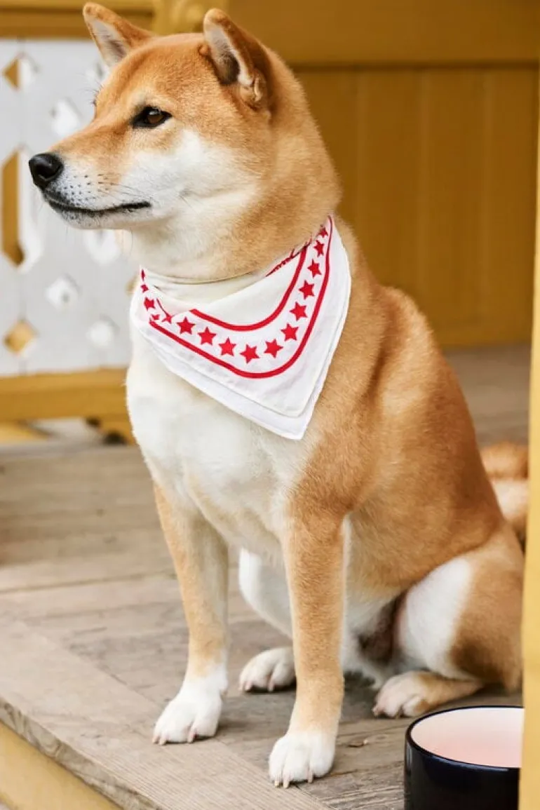 HAY HAY Dogs scarf, 55 x 55 cm, off-white