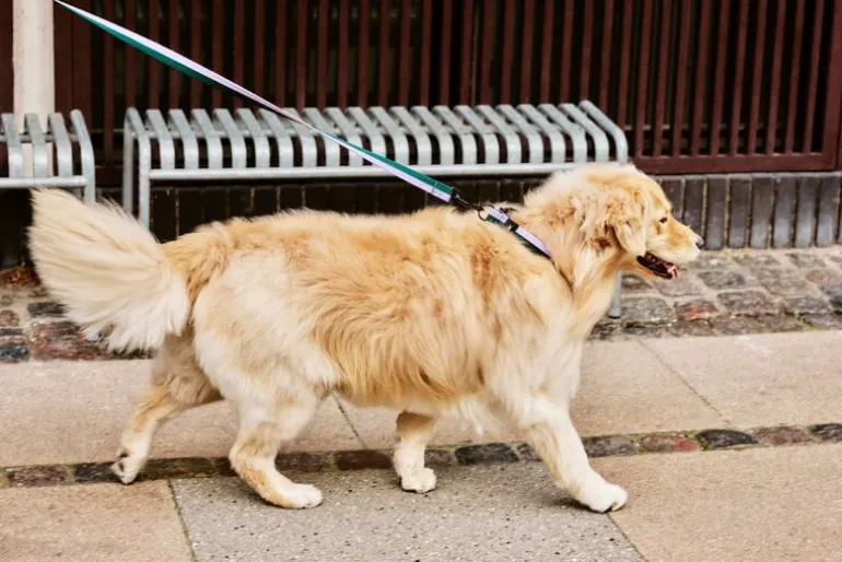 HAY Palissade bench, hot galvanised