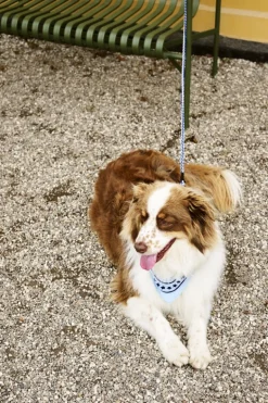 HAY Palissade lounge sofa, olive