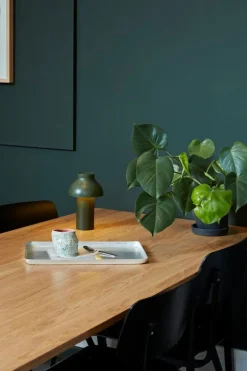 HAY PC Portable table lamp, olive