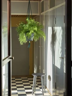 HAY Phanta plant hanger, black