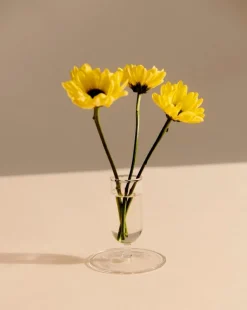 HAY Tiny vase, clear