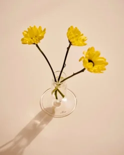 HAY Tiny vase, clear