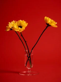 HAY Tiny vase, clear