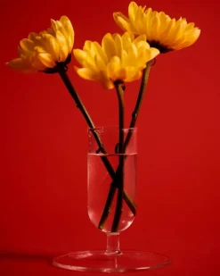 HAY Tiny vase, clear