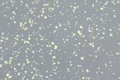 Hem Last stool, grey - lime splatter