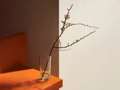 Iittala Aalto vase, 180 mm, clear