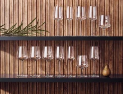 Iittala Essence red wine glass, set of 2