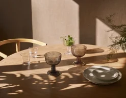 Iittala Kartio tumbler 21 cl, set of 2, clear