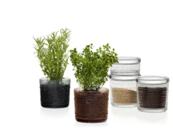 Iittala Kastehelmi jar 116 x 57 mm, clear