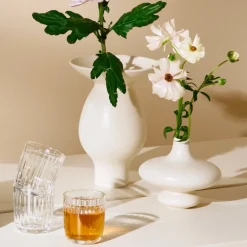 Iittala Raami tumbler 26 cl, 2 pcs, clear