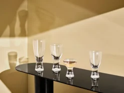 Iittala Tapio white wine glass, set of 2