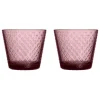 Iittala Tundra tumbler, 29 cl, 2 pcs, calluna