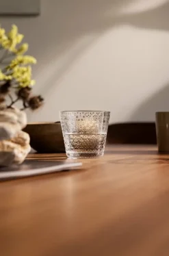 Iittala Tundra tumbler, 29 cl, 2 pcs, clear
