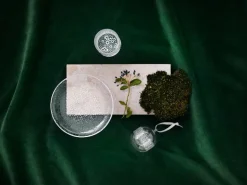 Iittala Ultima Thule O.F. tumbler 20 cl, set of 2