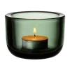 Iittala Valkea tealight candleholder, 60 mm, pine green