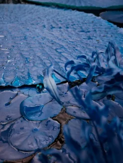 Kehrer Verlag Hertta Kiiski: Otherworld