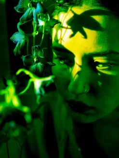 Kehrer Verlag Hertta Kiiski: Otherworld