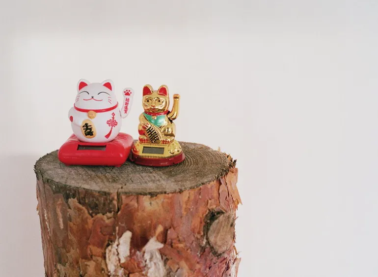 Kehrer Verlag I Was An Apple And I Got Peeled But It Was A Good Thing