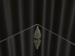 Kehrer Verlag Jaakko Kahilaniemi: 100 Hectares of Understanding