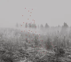 Kehrer Verlag Jaakko Kahilaniemi: 100 Hectares of Understanding