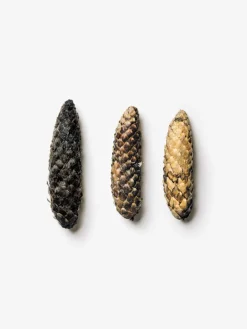 Kehrer Verlag Jaakko Kahilaniemi: 100 Hectares of Understanding