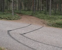 Kehrer Verlag Terje Abusdal: Slash and Burn