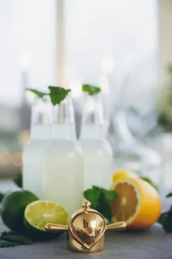 Klong Finn bottle opener/hook