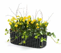 Korbo Balcony planting basket, acid proof stainless steel