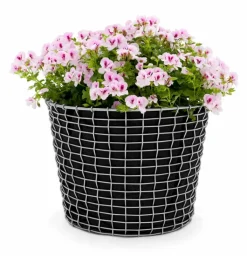 Korbo Bin 16 wire basket, acid proof stainless steel