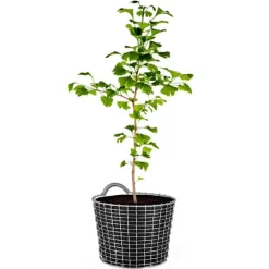 Korbo Bin 18 wire basket, acid proof steel