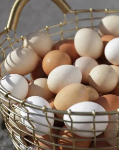 Korbo Bin 16 wire basket, brass