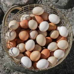 Korbo Bin 16 wire basket, brass