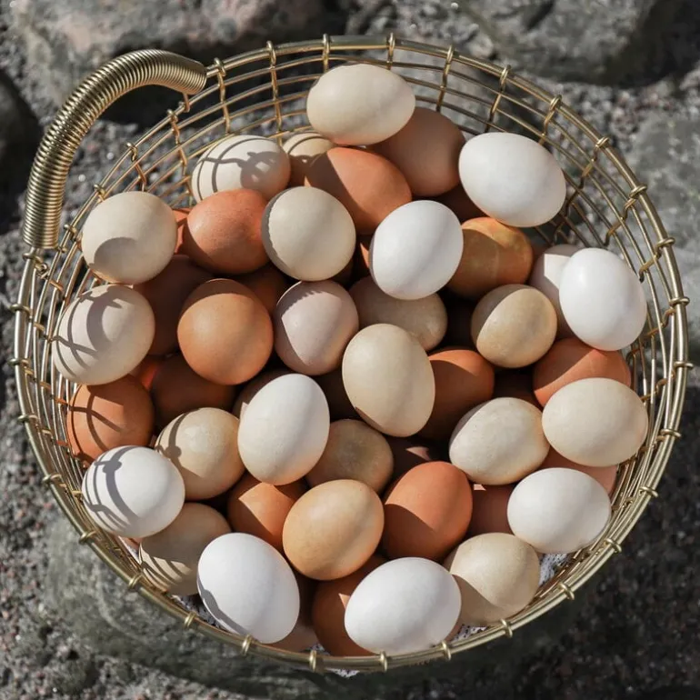 Korbo Bin 16 wire basket, brass