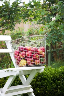 Korbo Bucket 24 wire basket, galvanized