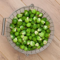 Korbo Bucket 16 wire basket, galvanized