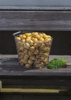 Korbo Bucket 16 wire basket, galvanized