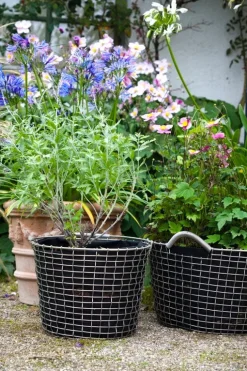 Korbo Bucket 24 wire basket, acid proof stainless steel