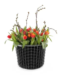 Korbo Bucket 16 wire basket, acid proof stainless steel