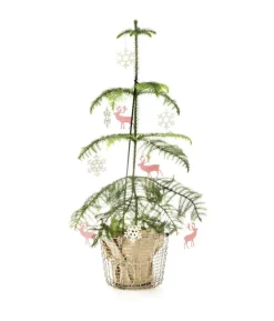 Korbo Bucket 16 wire basket, acid proof stainless steel