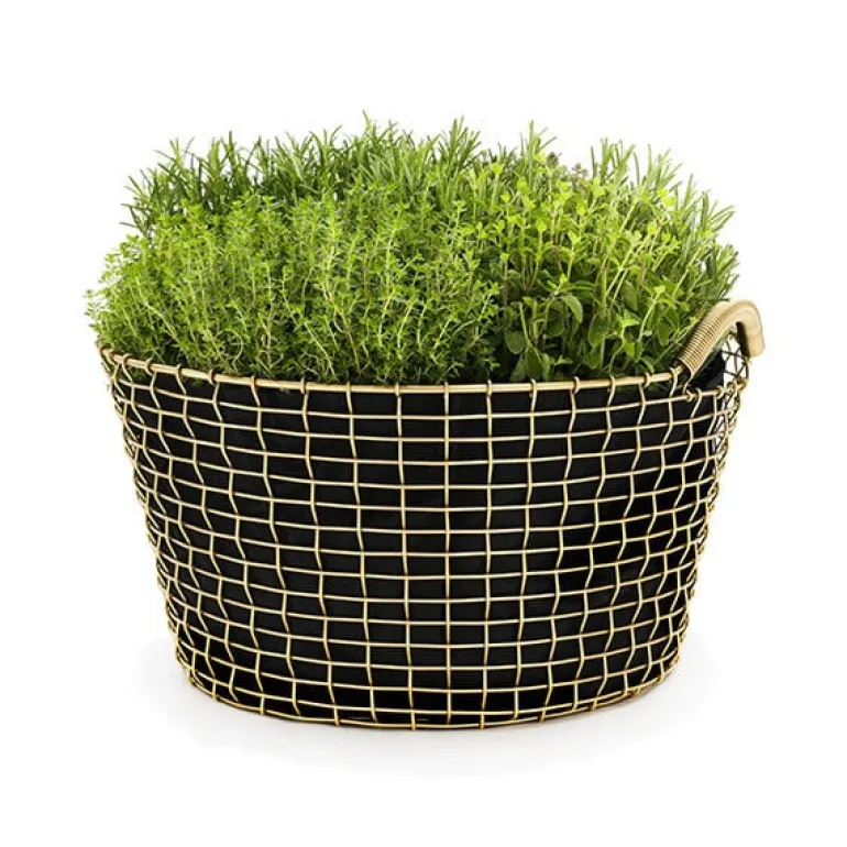 Korbo Classic 35 wire basket, brass