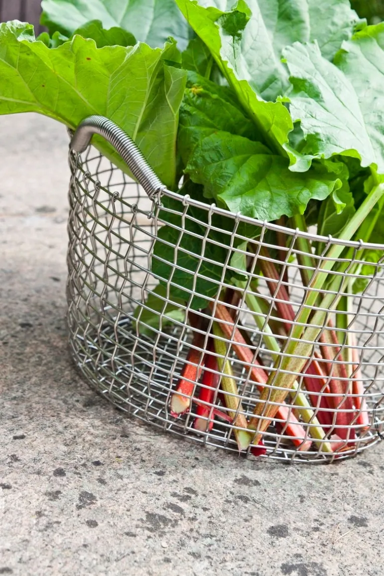 Korbo Classic 35 wire basket, acid proof stainless steel