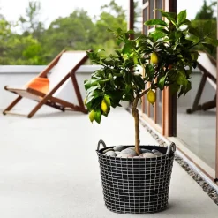 Korbo Classic 24 wire basket, acid proof stainless steel