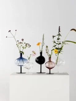 Kosta Boda Bod bottle, 306 mm, black - cork