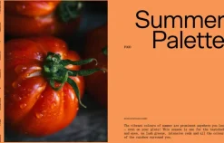 Laine Publishing Laine Magazine, issue 17