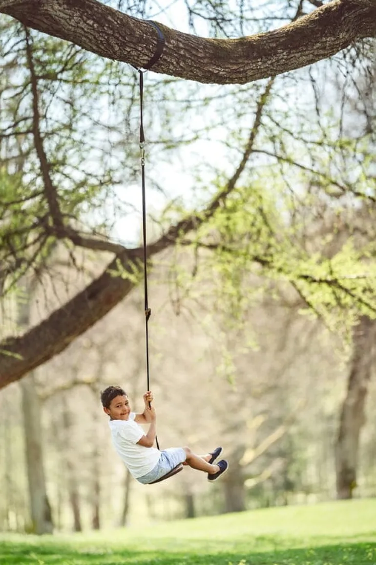 Lillagunga Disco Outdoor swing, walnut - black